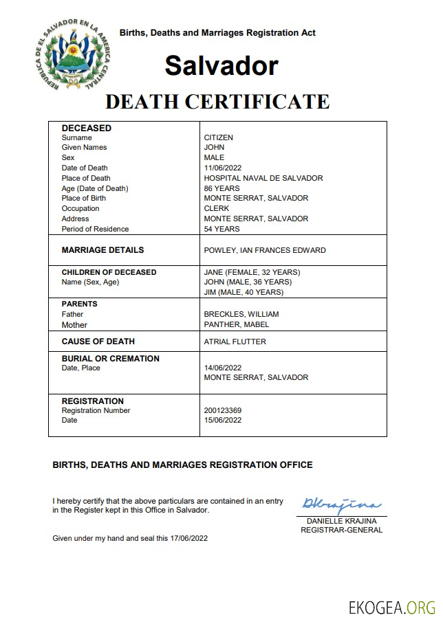 Modèle Word et PDF de certificat de décès de l'état civil du Salvador 1 template